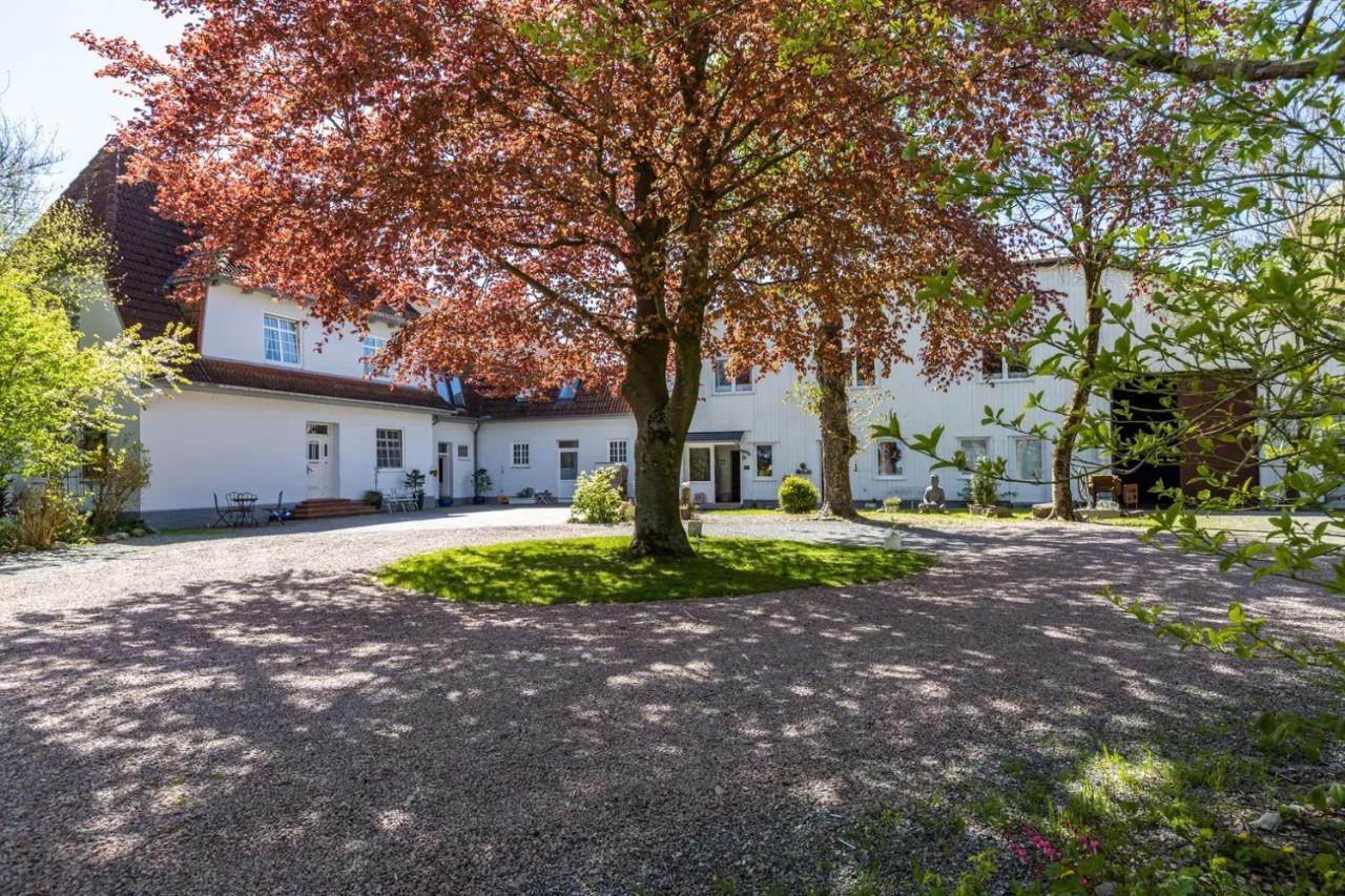 Denkerhof Ferienwohnung Deichblick Reussenkoge Екстер'єр фото