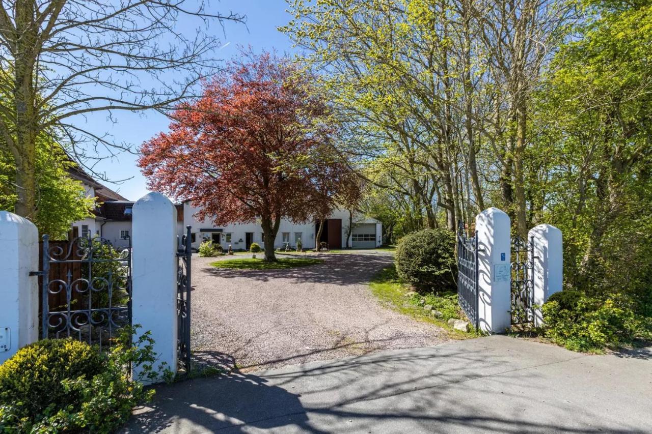 Denkerhof Ferienwohnung Deichblick Reussenkoge Екстер'єр фото